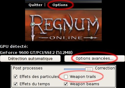 regnum_online_weapon_trails.jpg