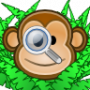 searchmonkey_logo.png